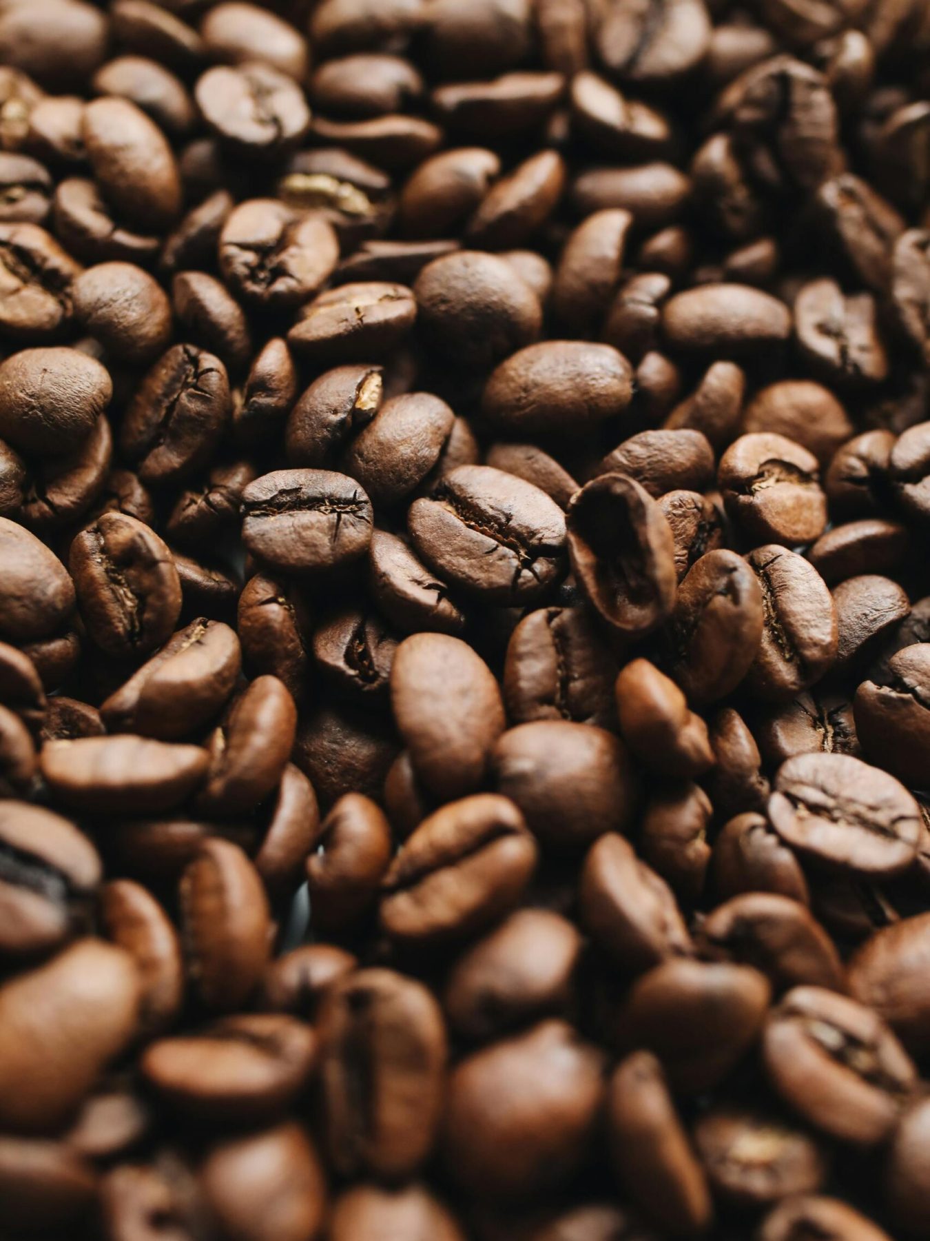 Close-up view of aromatic roasted coffee beans showcasing texture and richness.